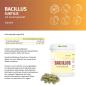 Preview: Bacillus Subtilis DSM 21097 mit Gerstengrassaft – Probiotische Kapseln in Dose