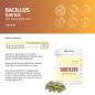 Preview: Bacillus Subtilis DSM 21097 mit Gerstengrassaft – Probiotische Kapseln in Dose