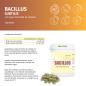 Preview: Bacillus Subtilis DSM 21097 mit Gerstengrassaft – Probiotische Kapseln in Dose