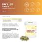 Preview: Bacillus Subtilis DSM 21097 mit Gerstengrassaft – Probiotische Kapseln in Dose