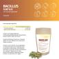Preview: Bacillus Subtilis DSM 21097 mit Gerstengrassaft – Probiotische Kapseln im Standbeutel