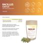 Preview: Bacillus Subtilis DSM 21097 mit Gerstengrassaft – Probiotische Kapseln im Standbeutel