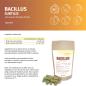 Preview: Bacillus Subtilis DSM 21097 mit Gerstengrassaft – Probiotische Kapseln im Standbeutel