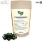 Preview: Chlorophyll für Menschen mit starkem Schwitzen, Mund- oder Körpergeruch