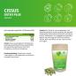Preview: Cissus Osteo Plus Kapseln