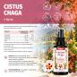 Preview: CISTUS - CHAGA Spray 50 ml – Zistrose & Chaga mit Vitamin B2, B6, B12 und Folat
