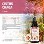 Preview: CISTUS - CHAGA Spray 50 ml – Zistrose & Chaga mit Vitamin B2, B6, B12 und Folat