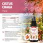 Preview: CISTUS - CHAGA Spray 50 ml – Zistrose & Chaga mit Vitamin B2, B6, B12 und Folat