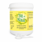 Preview: Fit & Vital | Pulver | Erfolgreiche Darmsanierung & Energie im Alltag | Vegan