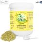 Preview: Fit & Vital | Pulver | Erfolgreiche Darmsanierung & Energie im Alltag | Vegan