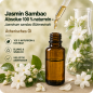 Preview: ERASVITAL Jasminöl – 100 % naturreines ätherisches Öl aus Jasminum grandiflorum