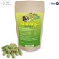 Preview: Moringa Oleifera Samen und Pulver