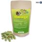 Preview: Moringa Oleifera Samen und Pulver