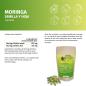 Preview: Moringa Samen und Pulver Kapseln
