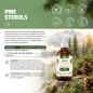 Preview: PINE STEROLS – aus Kiefer mit MCT C8 – 2000 mg Pflanzensterole pro Tagesportion