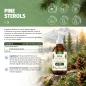 Preview: PINE STEROLS – aus Kiefer mit MCT C8 – 2000 mg Pflanzensterole pro Tagesportion