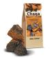 Preview: Chaga-Pilz natur Brocken wildsammlung aus Sibirien - Kostenlose Probe*