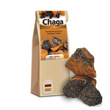Chaga-Pilz natur Brocken wildsammlung aus Sibirien - Kostenlose Probe*