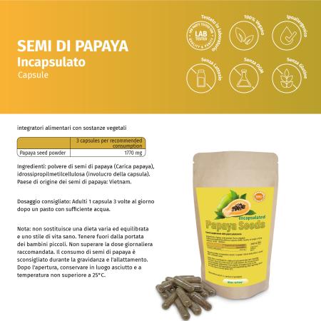 Papaya-Kerne In Kapseln - 90 Stück Rohkost Qualität Aus Vietnam (Nicht Hybrid)