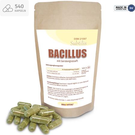 Preview: Bacillus Subtilis DSM 21097 mit Gerstengrassaft – Probiotische Kapseln im Standbeutel