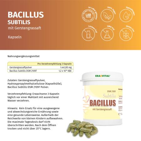 Preview: Bacillus Subtilis DSM 21097 mit Gerstengrassaft – Probiotische Kapseln in Dose