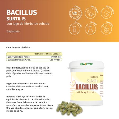 Bacillus Subtilis DSM 21097 mit Gerstengrassaft – Probiotische Kapseln in Dose