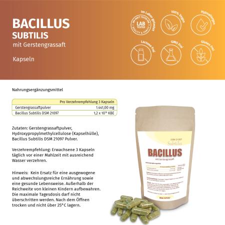 Preview: Bacillus Subtilis DSM 21097 mit Gerstengrassaft – Probiotische Kapseln im Standbeutel