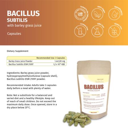 Bacillus Subtilis DSM 21097 mit Gerstengrassaft – Probiotische Kapseln im Standbeutel