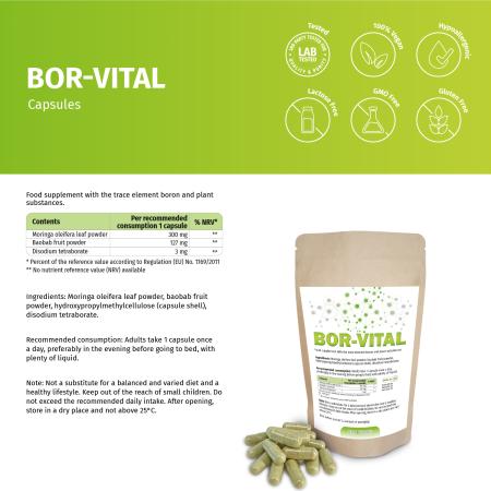 Preview: bor-vital