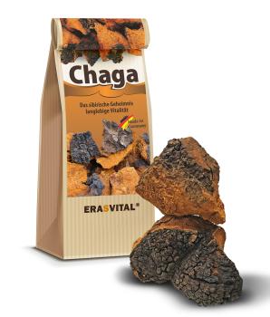 Chaga-Pilz - natur Brocken - Wildsammlung aus Sibirien
