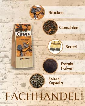Chaga-Pilz mit rosenblüten im teebeutel