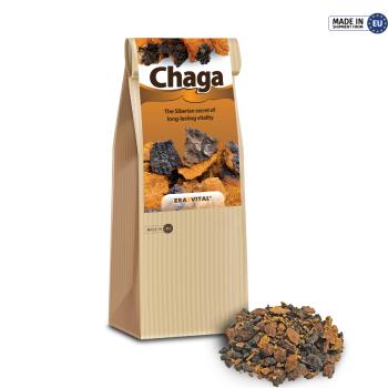 Chaga-Pilz - grob gemahlene natur Brocken - Wildsammlung aus Sibirien
