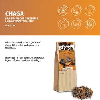 Chaga-Pilz - grob gemahlene Brocken - Wildsammlung