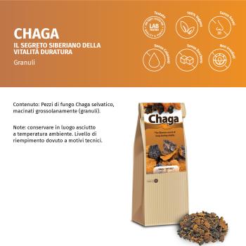 Chaga-Pilz - grob gemahlene Brocken - Wildsammlung