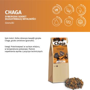 Chaga-Pilz - grob gemahlene Brocken - Wildsammlung