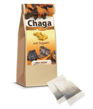 Chaga-Pilz mit Ingwer im Teebeutel