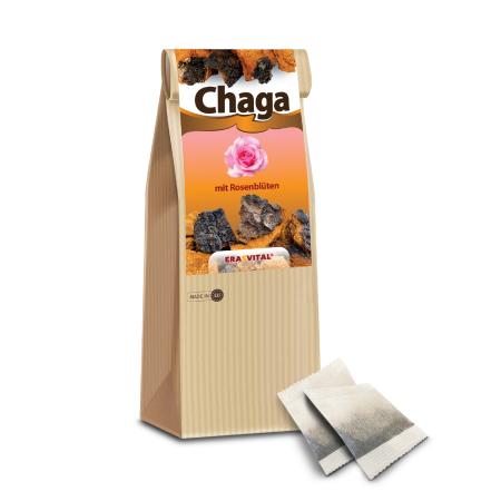 Chaga-Pilz mit Rosenblütel im Teebeutel ohne Tassenreiter