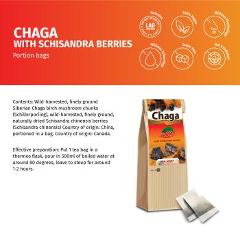 Chaga-Pilz mit Schisandrabeeren im Teebeutel