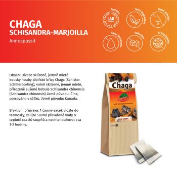 Chaga-Pilz mit Schisandrabeeren im Teebeutel