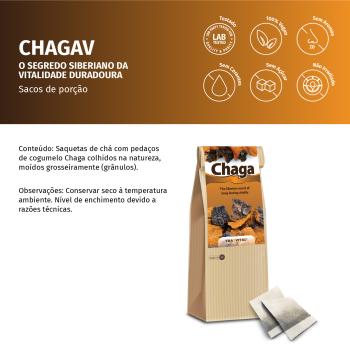 Chaga-Pilz im Teebeutel