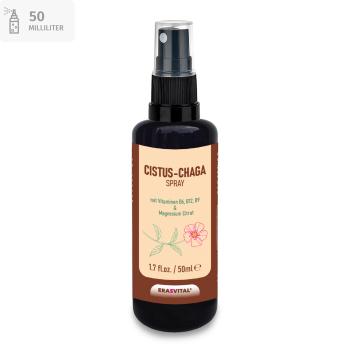 zistrose chaga pilz vitamin b6 b12 b9 folat magnesium l threonat Pyridoxal-5-Phosphat Methylcobalamin und Adenosylcobalamin L-5-Methyltetrahydrofolate Calcium Rechtsdrehende L(+) Milchsäure