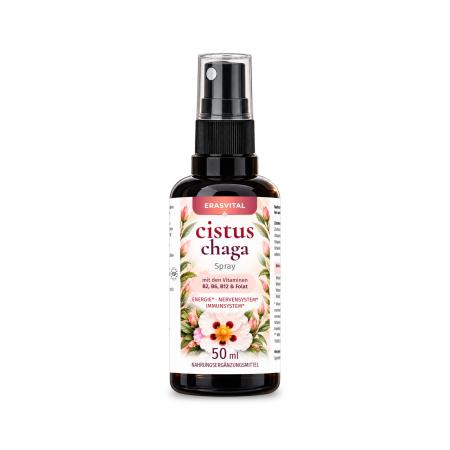 zistrose chaga pilz vitamin b6 b12 b9 folat magnesium l threonat Pyridoxal-5-Phosphat Methylcobalamin und Adenosylcobalamin L-5-Methyltetrahydrofolate Calcium Rechtsdrehende L(+) Milchsäure