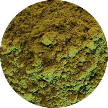 Moringa Oleifera I 100 g Pulver