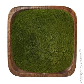Gerstengrassaft | 150 g Pulver