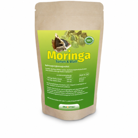 Moringa Oleifera Samen und Pulver