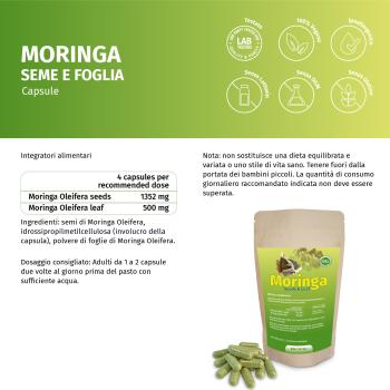 Moringa Samen und Pulver Kapseln