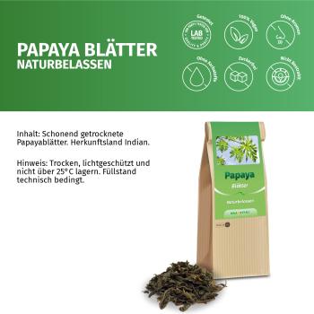 Papaya Blätter und Stängel geschnitten, Indien