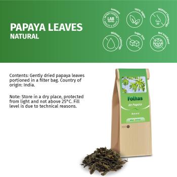 Papaya Blätter und Stängel geschnitten, Indien