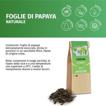 Papaya Blätter und Stängel geschnitten, Indien
