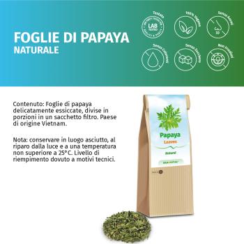 Papaya Blätter und Stengel fein vermahlen
